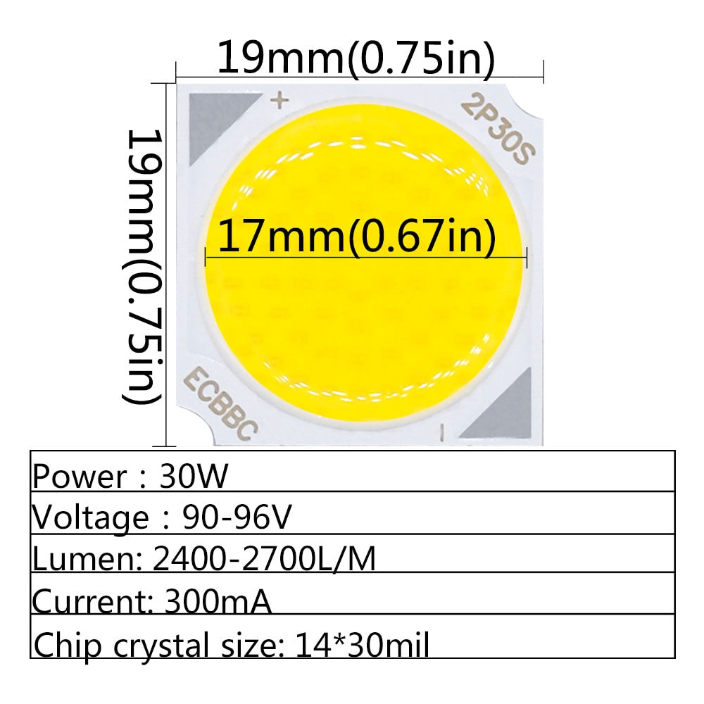 LED COB Light Bulb On Board 30W DC90-96V 300mA 19*19mm High Power LED Chip Light Lamp Spotlight Downlight Lamps