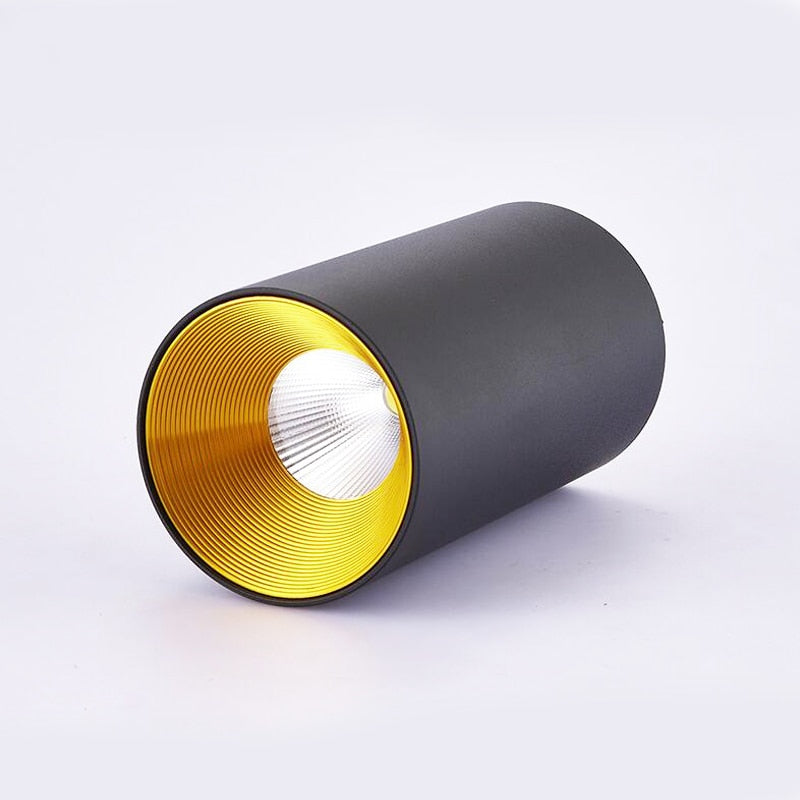 Surface Mounted Cylindrical LED Downlight Gold Reflector 10W 12W 15W LED Ceiling Bulbs Lamp Spot Light LED Downlight AC110-220V