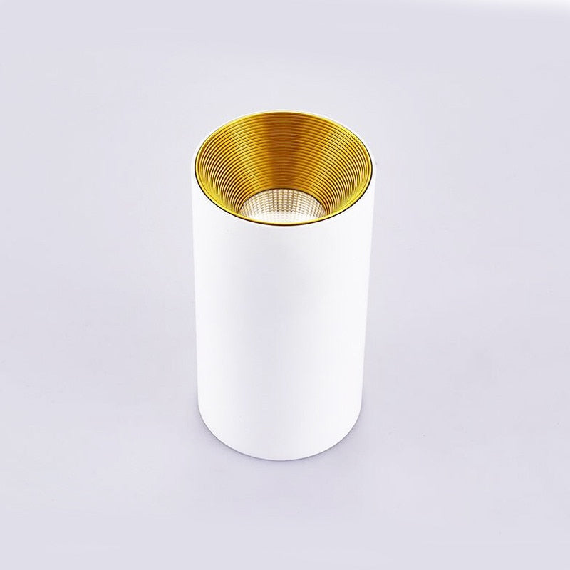 Surface Mounted Cylindrical LED Downlight Gold Reflector 10W 12W 15W LED Ceiling Bulbs Lamp Spot Light LED Downlight AC110-220V