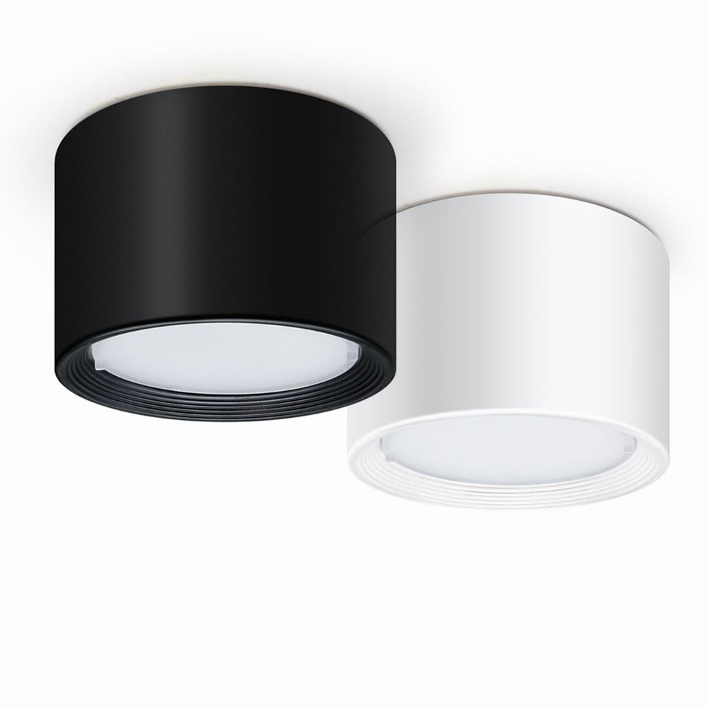 Surface Mounted LED Downlight 12W 5W Ceiling Lamps Dimmable Led spot lights 220V 110V Ceiling Fixtures Lighting with LED Drive