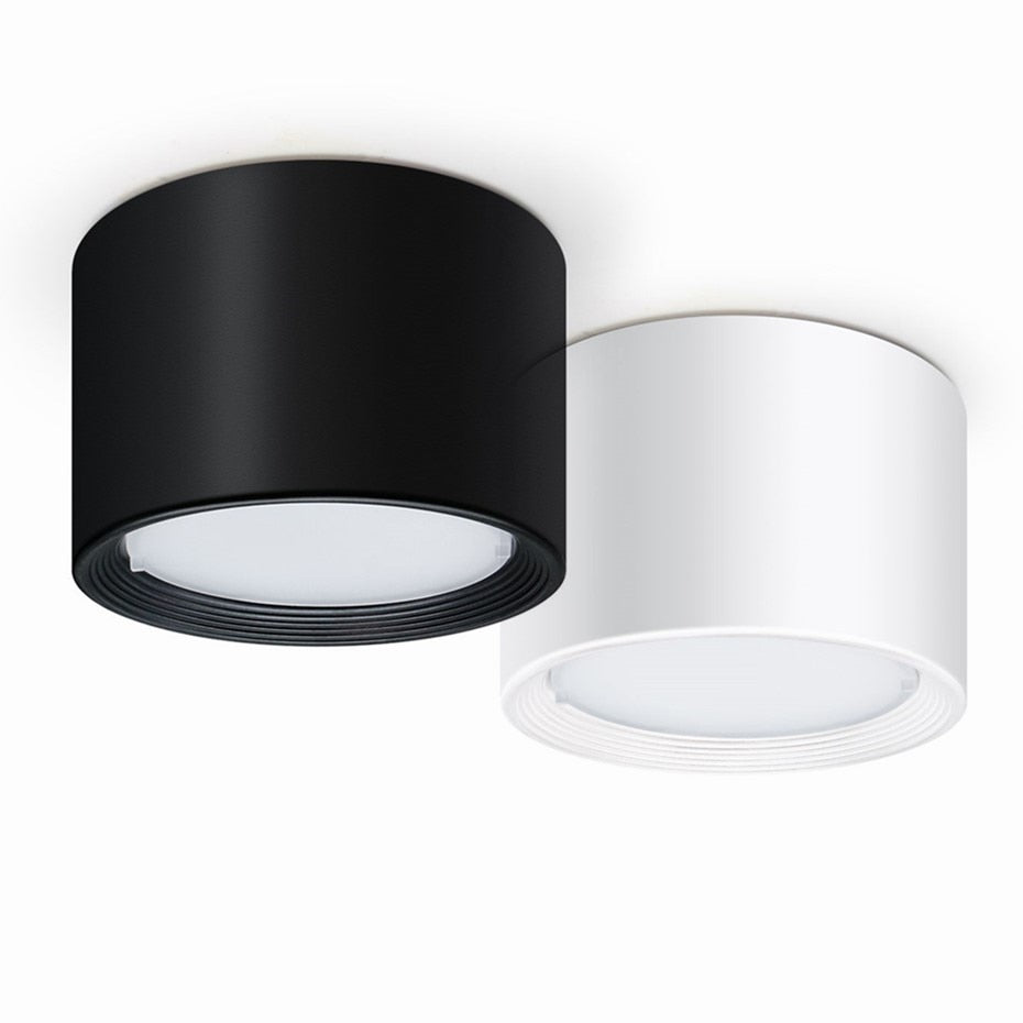 Surface Mounted LED Downlight 12W 5W Ceiling Lamps Dimmable Led spot lights 220V 110V Ceiling Fixtures Lighting with LED Drive