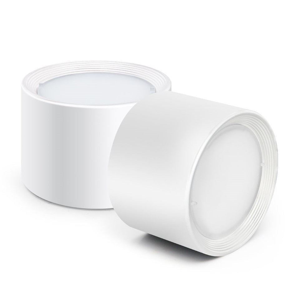 Surface Mounted LED Downlight 12W 5W Ceiling Lamps Dimmable Led spot lights 220V 110V Ceiling Fixtures Lighting with LED Drive