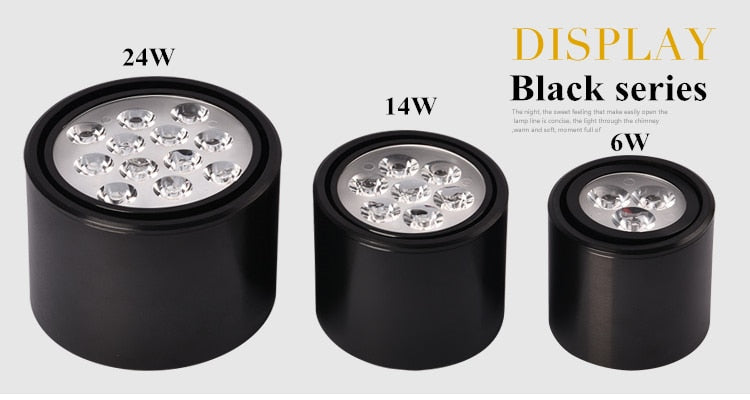 Dimmable 1pcs 6W 10W 14W 18W 24W led spot downlight High Power LED Ceiling Spot Light Kitchen Bathroom LED Downlights AC85-265V