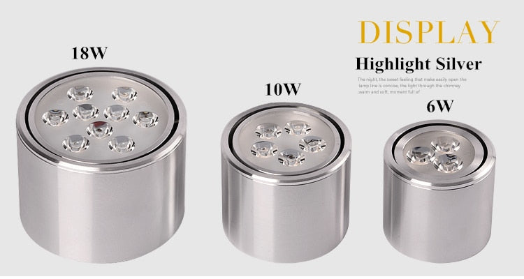 Dimmable 1pcs 6W 10W 14W 18W 24W led spot downlight High Power LED Ceiling Spot Light Kitchen Bathroom LED Downlights AC85-265V