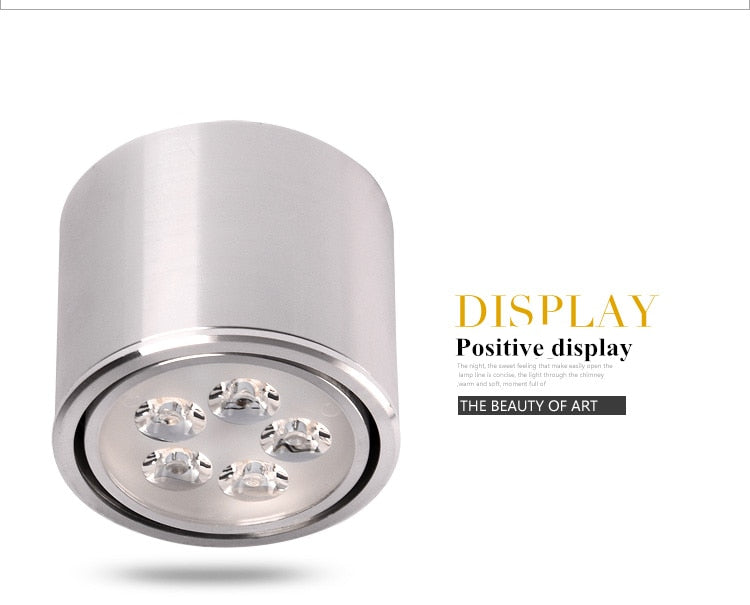 Dimmable 1pcs 6W 10W 14W 18W 24W led spot downlight High Power LED Ceiling Spot Light Kitchen Bathroom LED Downlights AC85-265V