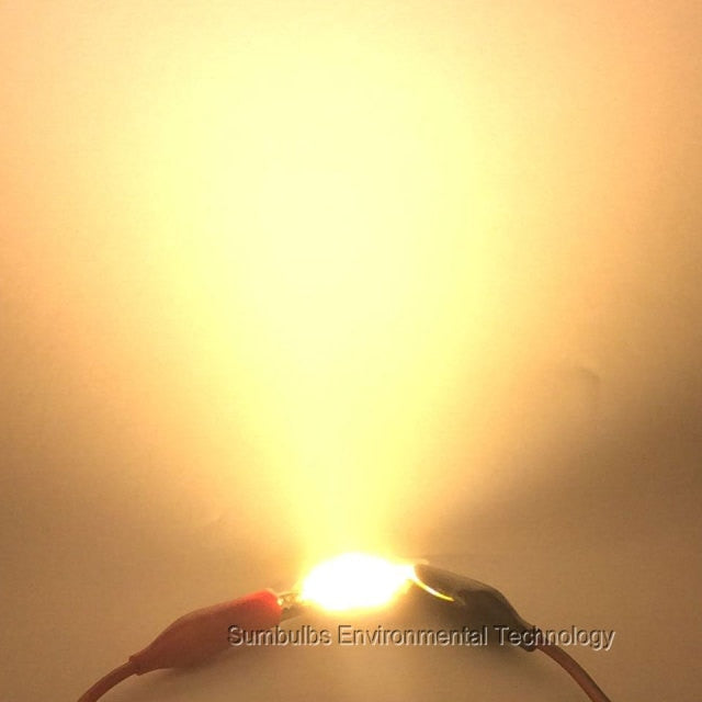 LED Rounded 10PCS 28MM 3W 5W 7W 10W 12W Chip On Board COB Light Source Warm Nature Cold White for Spotlight Downlight DIY 2820