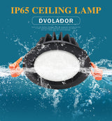 Bathroom Waterproof LED Downlight 15W 12W IP65 Recessed LED lamp lights for Outdoor waterproof Spot light AC220V 110V