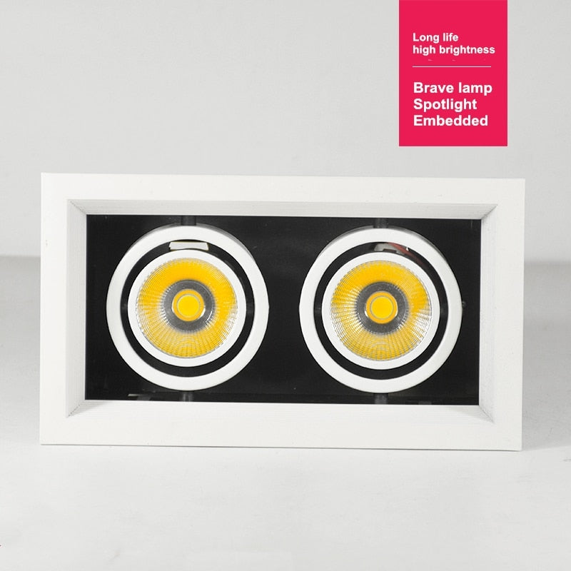 Double Dimmable Led downlight light Ceiling Spot Light 10w 20W 30W ac85-240V ceiling recessed Lights Indoor Lighting