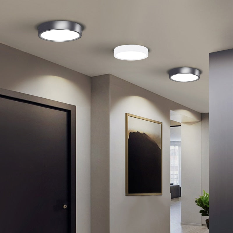 Mini Small LED Ceiling Lamp 220V Led Ceiling Lights 5/10/15/25W Spot Led Lighting Fixture Panel Light for Living Room Bedroom