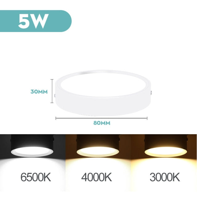 Mini Small LED Ceiling Lamp 220V Led Ceiling Lights 5/10/15/25W Spot Led Lighting Fixture Panel Light for Living Room Bedroom