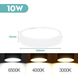 Mini Small LED Ceiling Lamp 220V Led Ceiling Lights 5/10/15/25W Spot Led Lighting Fixture Panel Light for Living Room Bedroom