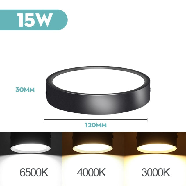 Mini Small LED Ceiling Lamp 220V Led Ceiling Lights 5/10/15/25W Spot Led Lighting Fixture Panel Light for Living Room Bedroom