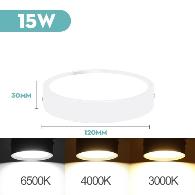 Mini Small LED Ceiling Lamp 220V Led Ceiling Lights 5/10/15/25W Spot Led Lighting Fixture Panel Light for Living Room Bedroom