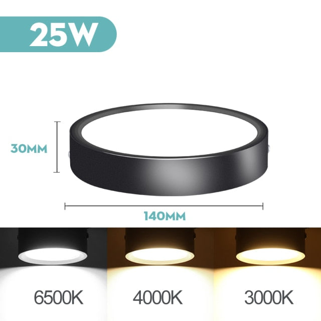 Mini Small LED Ceiling Lamp 220V Led Ceiling Lights 5/10/15/25W Spot Led Lighting Fixture Panel Light for Living Room Bedroom