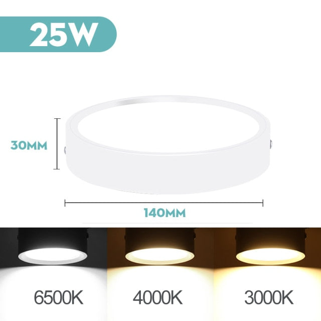 Mini Small LED Ceiling Lamp 220V Led Ceiling Lights 5/10/15/25W Spot Led Lighting Fixture Panel Light for Living Room Bedroom