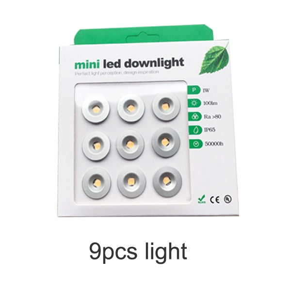 Dimmable 9pcs 1W Mini LED Downlight Indoor Outdoor IP65 Garden Bathroom Corridor Ceiling Spot Bulb Light Sauna Lighting 1W DC12V