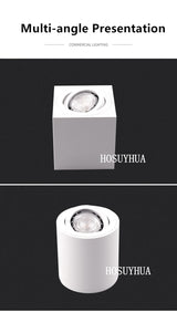 High Quality Surface Mounted Ceiling Lamps Rotating Commercial Lighting Adjustable Frame MR16 GU10 Bulb Fixture Downlight Holder