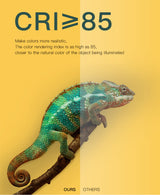 LED Downlight Night Light PIR Sensor Motion Recessed Ceiling Spotlight Lamp 20W 15W 10W 5W For Bathroom Kitchen Indoor Lights