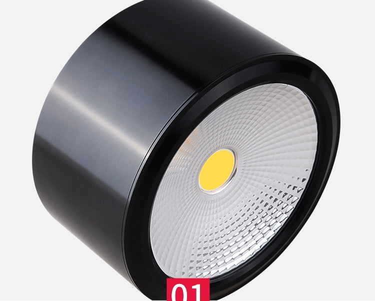 Dimmable LED Downlights 6W 10W 14W 20W COB LED Ceiling Lamp Spot Lights AC85-265V LED Wall Lamp Indoor Lighting White Black