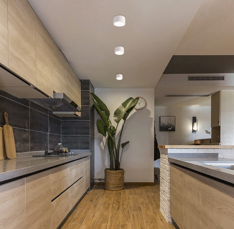 Dimmable LED Downlights 6W 10W 14W 20W COB LED Ceiling Lamp Spot Lights AC85-265V LED Wall Lamp Indoor Lighting White Black