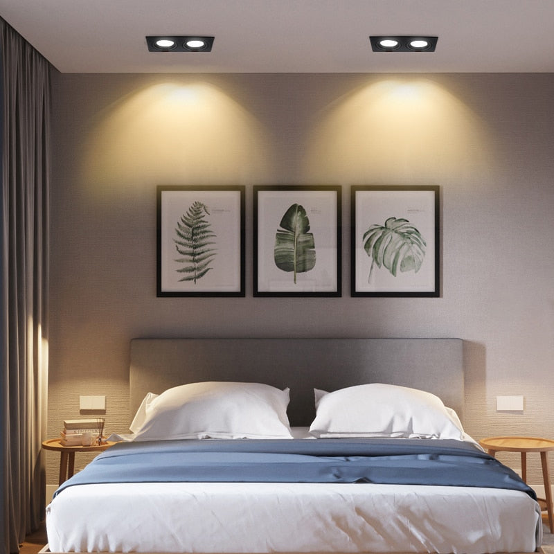 Double square Dimmable Led downlight light COB Ceiling SpotLight 14W 20W 24W 30 WLED ceiling recessed Lights Indoor Lighting