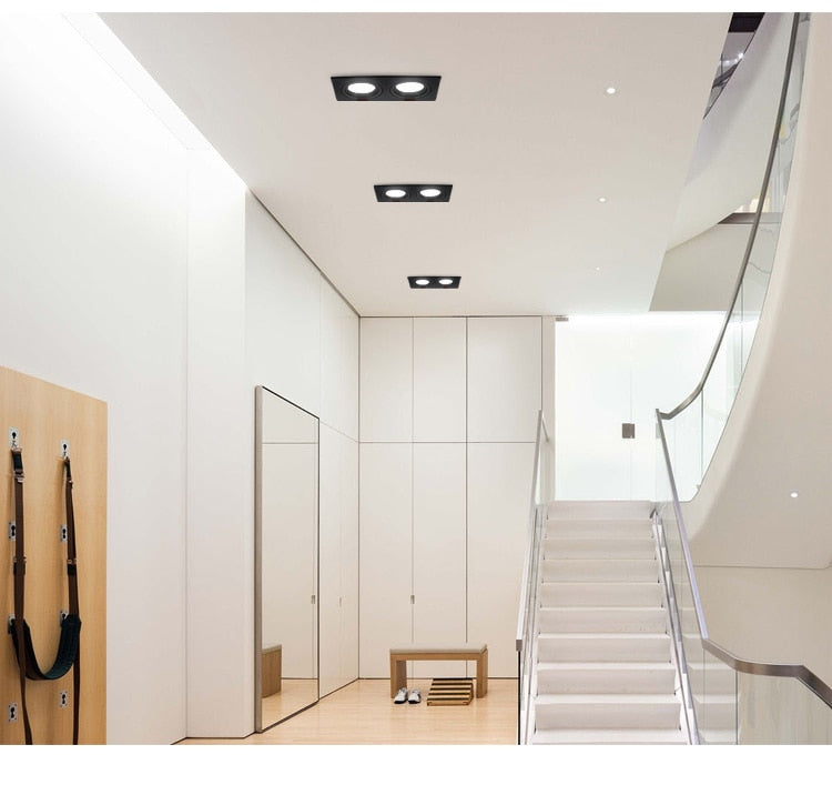 Double square Dimmable Led downlight light COB Ceiling SpotLight 14W 20W 24W 30 WLED ceiling recessed Lights Indoor Lighting