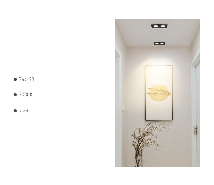 Double square Dimmable Led downlight light COB Ceiling SpotLight 14W 20W 24W 30 WLED ceiling recessed Lights Indoor Lighting