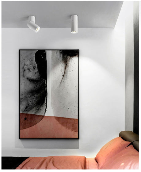 Dimmable Rotating Led Downlights Cob Ceiling Spot Lights AC220V 240v Led Lamp Indoor Room Lighting TV Background  Bedroom 20W