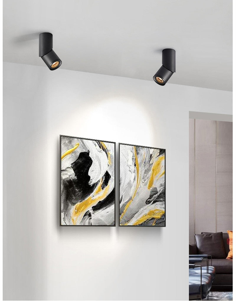 Dimmable Rotating Led Downlights Cob Ceiling Spot Lights AC220V 240v Led Lamp Indoor Room Lighting TV Background  Bedroom 20W