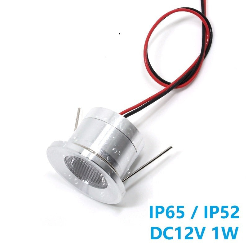 LED Outdoor Waterproof Led Spot Light 12V Volt Spotlight 1W Recessed Ceiling Focus Bath Sauna Kitchen Mini Bulbs Lamp IP65