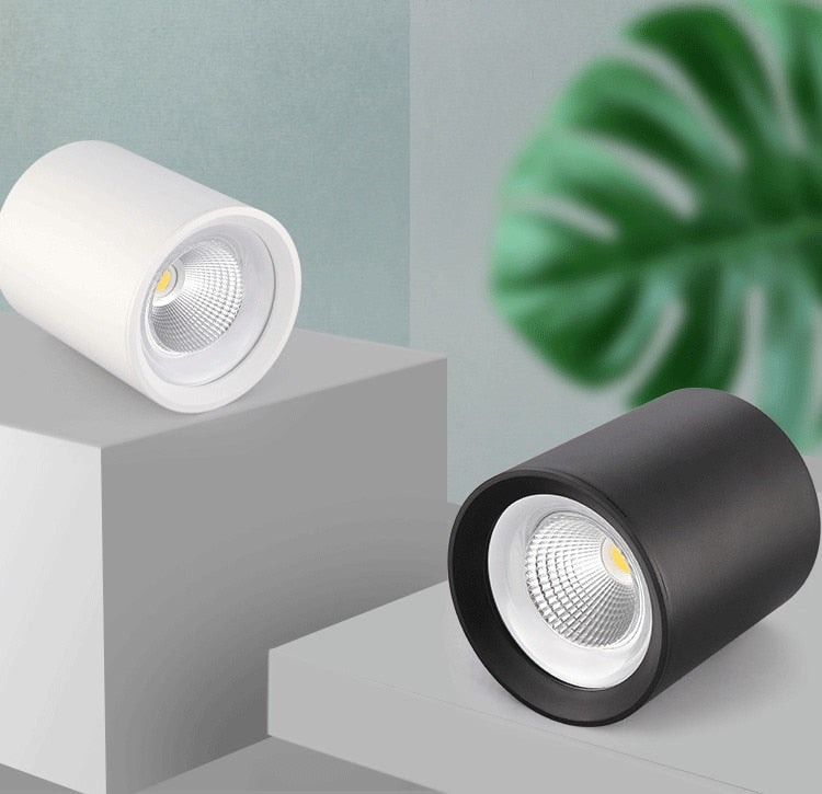 LED Surface Mounted Downlight High Bright Epistar COB Dimmable 8W 12W 15W 20W Round Ceiling Spot Lamp AC 110V/220V White /Black