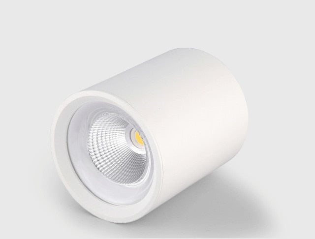 LED Surface Mounted Downlight High Bright Epistar COB Dimmable 8W 12W 15W 20W Round Ceiling Spot Lamp AC 110V/220V White /Black