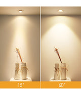 Dimmable LED Embedded Zoom 15-60 degrees COB Downlights 8W 12W 15W 18W 21W 24W Ceiling Lamp Spot Lights AC110-220V Indoor lighting
