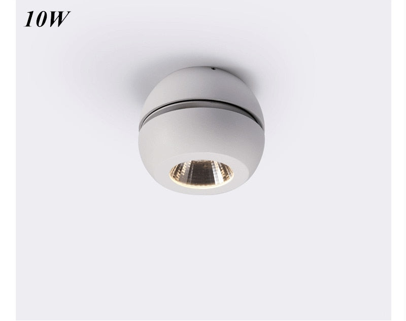 High Quality Super Bright Surface Mounted LED Dimmable Downlights 10W 15W 20W 30W 40W 60W AC85-265V COB Ceiling Lamp Spot Lights