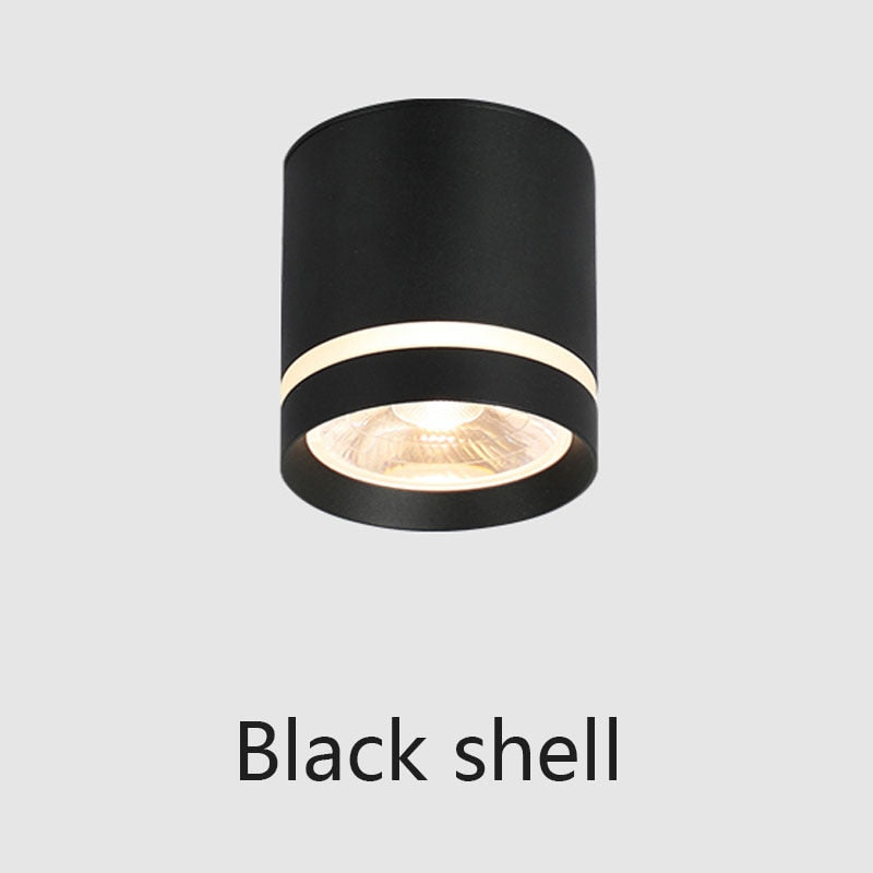 Tinlaibor NO open Fixtures Lighting Bedroom Foyer Bathroom Porch Led Dimmable Ceiling 9W 12W Cob Spot lights Downlight