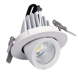 LED trunk light COB LED gimbal light 10W 15W 30W Warm White Cold White COB LED gimble lamp rotatable led downlight Adjustable