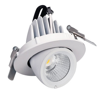 LED trunk light COB LED gimbal light 10W 15W 30W Warm White Cold White COB LED gimble lamp rotatable led downlight Adjustable