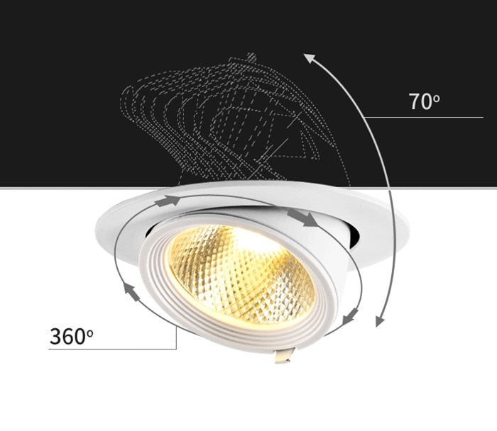 LED trunk light COB LED gimbal light 10W 15W 30W Warm White Cold White COB LED gimble lamp rotatable led downlight Adjustable