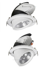 LED trunk light COB LED gimbal light 10W 15W 30W Warm White Cold White COB LED gimble lamp rotatable led downlight Adjustable