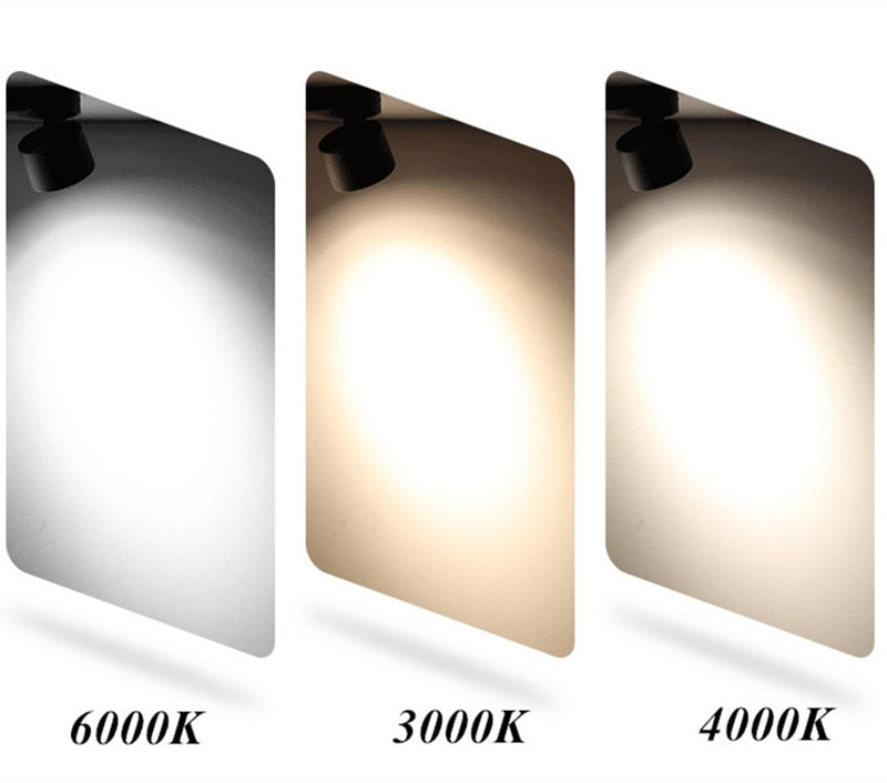 LED trunk light COB LED gimbal light 10W 15W 30W Warm White Cold White COB LED gimble lamp rotatable led downlight Adjustable