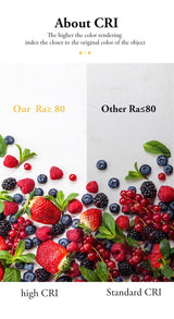 Adjustable LED Spotlights 7W 10W 15W Led Spot Light Lamp Ceiling Spots Track Lights Lighting Spotlight for Home Kitchen Bedroom