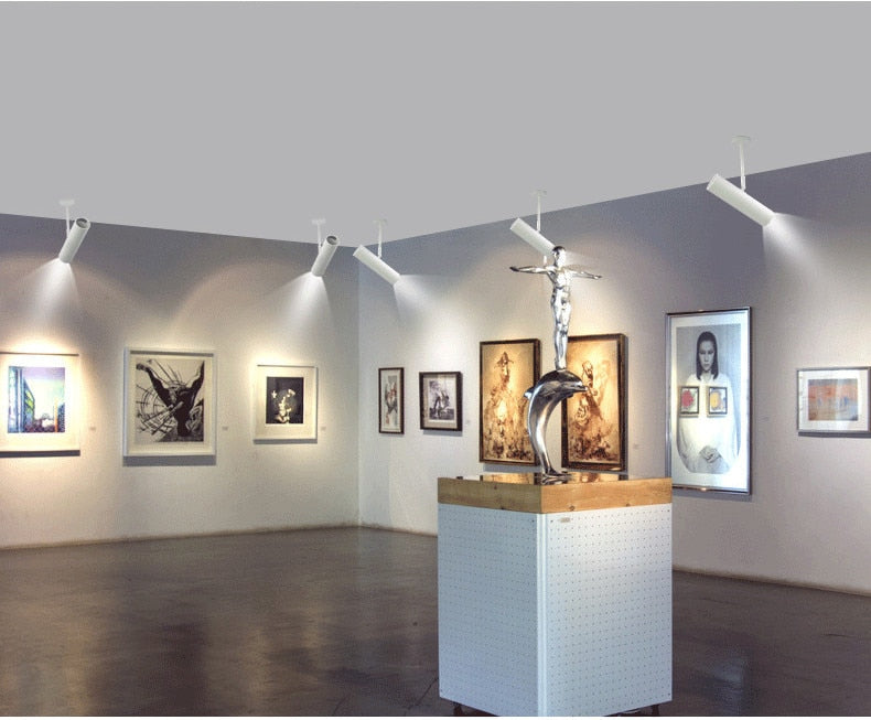 Led wall lamp COB LED Downlights 5w 7w 9w Surface Mounted LED Ceiling Lamps Spot Light Rotation