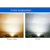 LED 10/20/30/50/70/100W DC 12V 36V COB module LED Chip Diodes Lamp Bulb for outdoor focus Spotlight Garden Integrated Light Beads