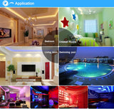 Led Strip Light DC12V 6803IC 5m RGB Dream Color IP67 Waterproof Flexible Light 5050SMD 150LED + RF Remote Controller