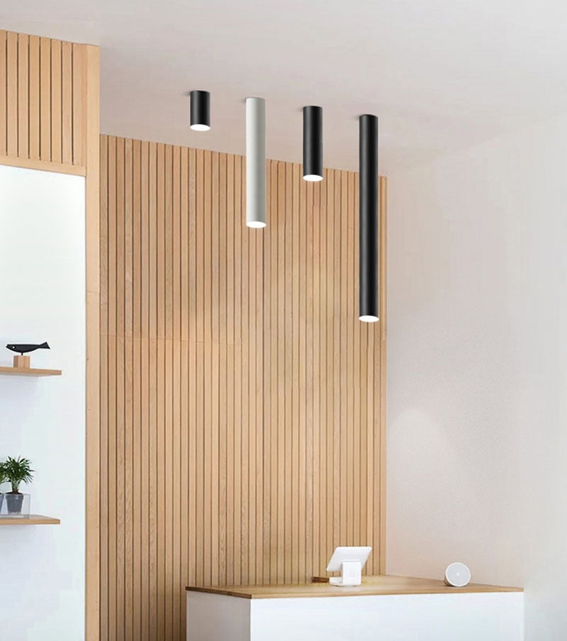 Dimmable Downlight Long Tube Surface Mounted Modern 7W 12W Led Spot Light Indoor Living Room Kitchen Store Office Ceiling Lamp