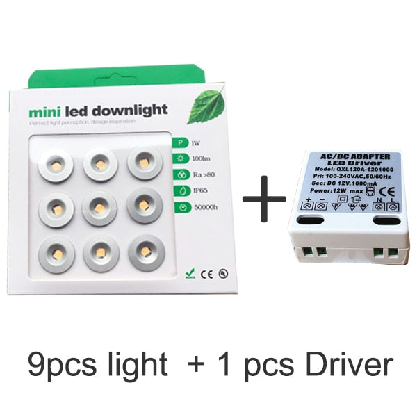 Dimmable 9pcs 1W Mini LED Downlight Indoor Outdoor IP65 Garden Bathroom Corridor Ceiling Spot Bulb Light Sauna Lighting 1W DC12V