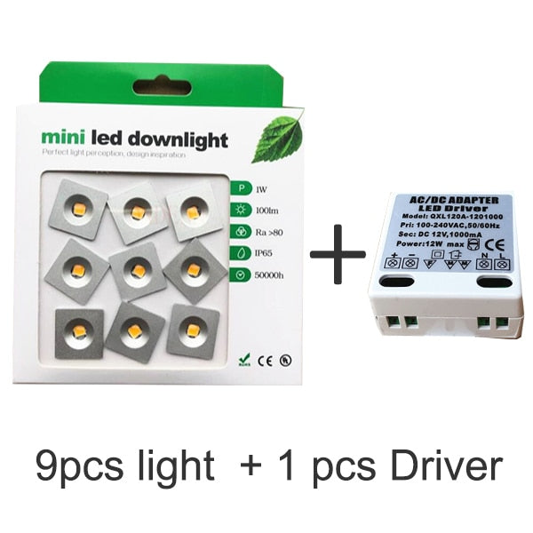 Dimmable 9pcs 1W Mini LED Downlight Indoor Outdoor IP65 Garden Bathroom Corridor Ceiling Spot Bulb Light Sauna Lighting 1W DC12V