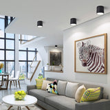 Dimmable LED Ceiling light down light 5W/7W/9W/12W/15W/18W/20W/24W No opening LED Spot light decoration Ceiling lamp