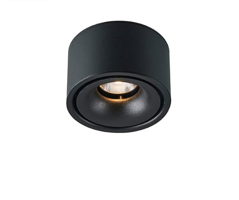 Round Surface Mounted LED Downlights 7W 10W 12W 15W Ceiling Lamps Spot Light 110V/220V driverless Down Light