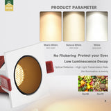 DBF Angle Adjust Square Anti-Glare LED Recessed Downlight 7W 12W 15W Honeycomb Nest Lens Ceiling Spot Light Kitchen Living Room